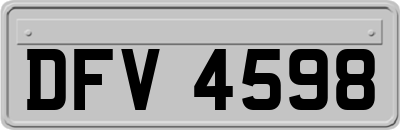 DFV4598