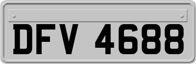 DFV4688