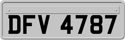DFV4787