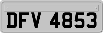 DFV4853