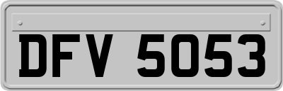 DFV5053