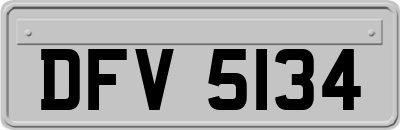 DFV5134