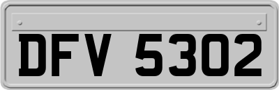 DFV5302