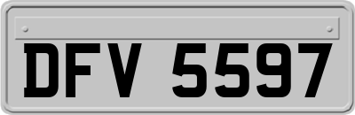 DFV5597