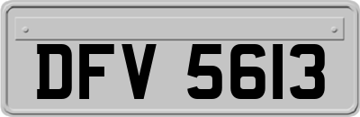 DFV5613