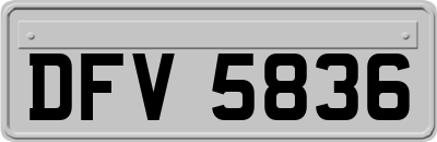 DFV5836