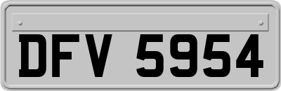 DFV5954