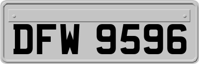 DFW9596