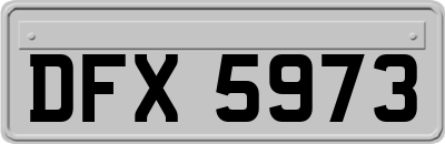 DFX5973
