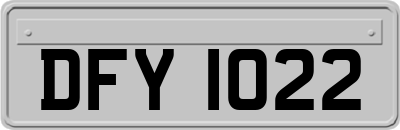 DFY1022