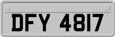 DFY4817