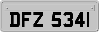 DFZ5341