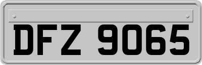 DFZ9065