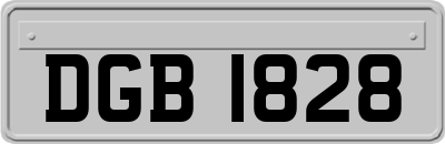 DGB1828