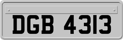 DGB4313
