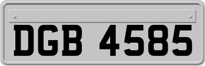 DGB4585