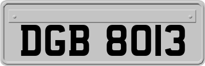 DGB8013