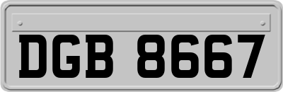 DGB8667