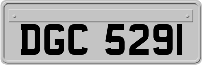 DGC5291