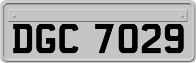 DGC7029