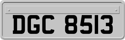 DGC8513