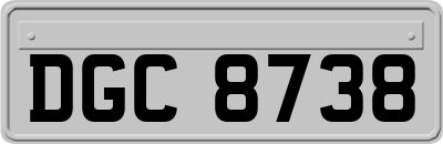 DGC8738