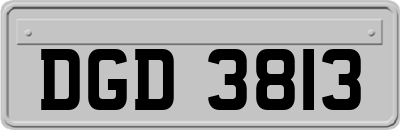 DGD3813