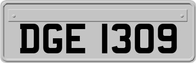 DGE1309
