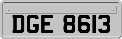 DGE8613