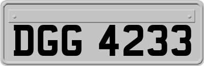 DGG4233