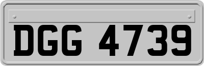 DGG4739