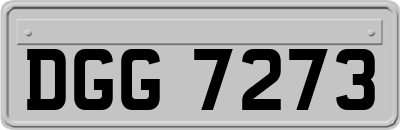 DGG7273