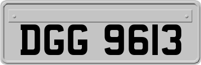 DGG9613