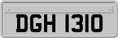 DGH1310