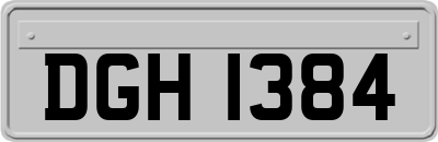 DGH1384