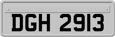DGH2913