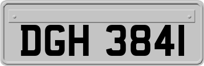 DGH3841
