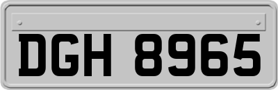DGH8965