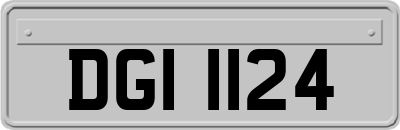 DGI1124