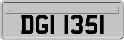 DGI1351