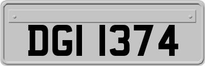 DGI1374
