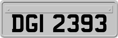 DGI2393