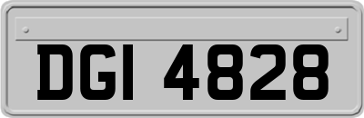 DGI4828