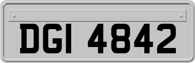 DGI4842