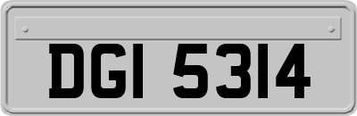 DGI5314