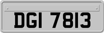 DGI7813