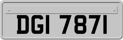 DGI7871