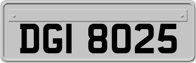 DGI8025