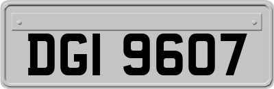 DGI9607