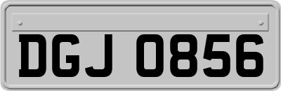 DGJ0856